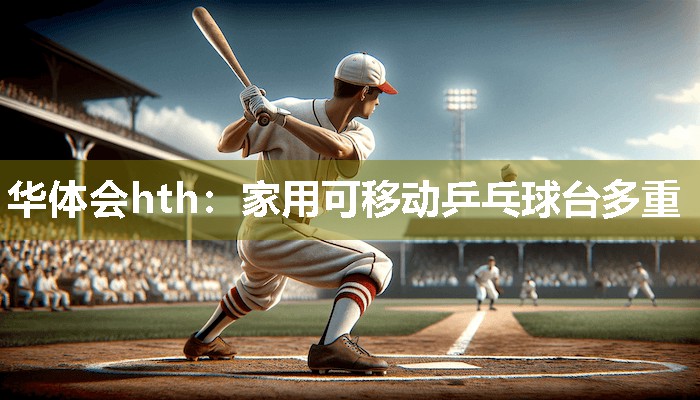 华体会hth：家用可移动乒乓球台多重