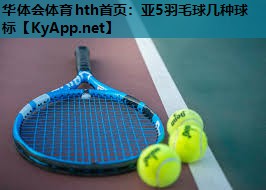 亚5羽毛球几种球标 亚5羽毛球几种球标