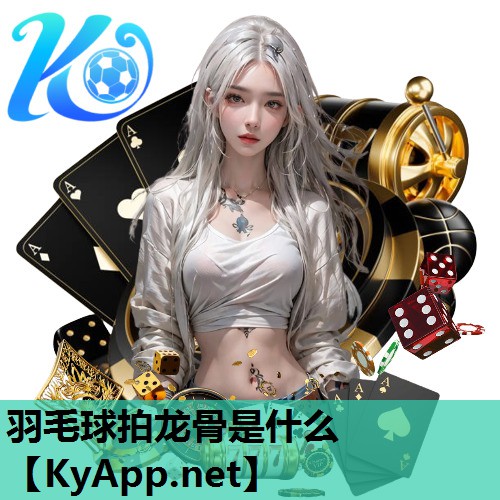 羽毛球拍龙骨是什么 羽毛球拍龙骨是什么