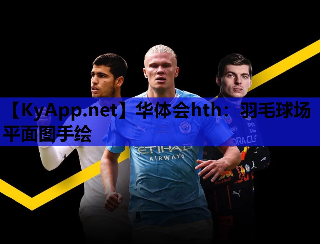 羽毛球场平面图手绘 羽毛球场平面图手绘